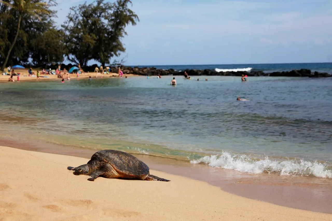 Villa Pili Mai 4C Koloa